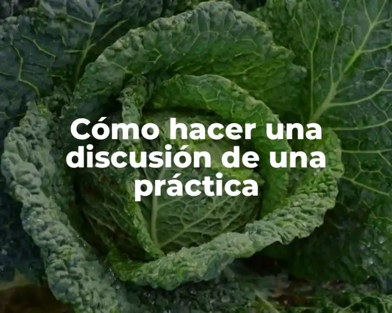 Cómo hacer una discusión de una práctica