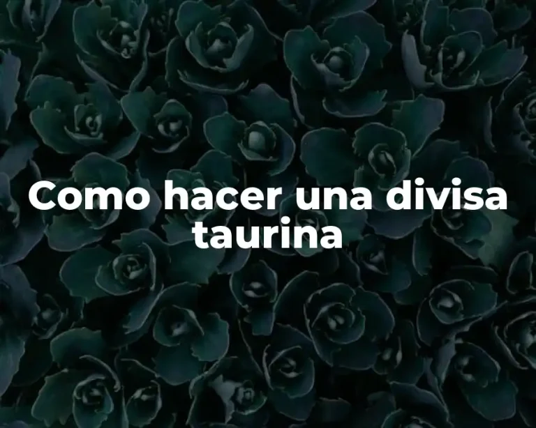 Como hacer una divisa taurina