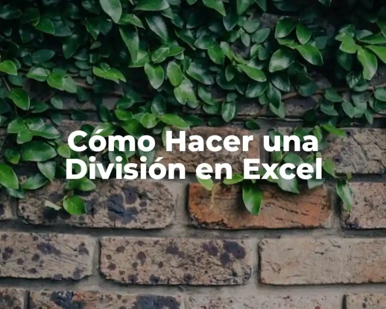 Cómo Hacer una División en Excel