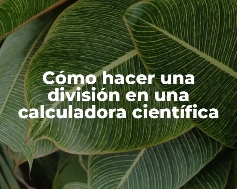 Cómo hacer una división en una calculadora científica