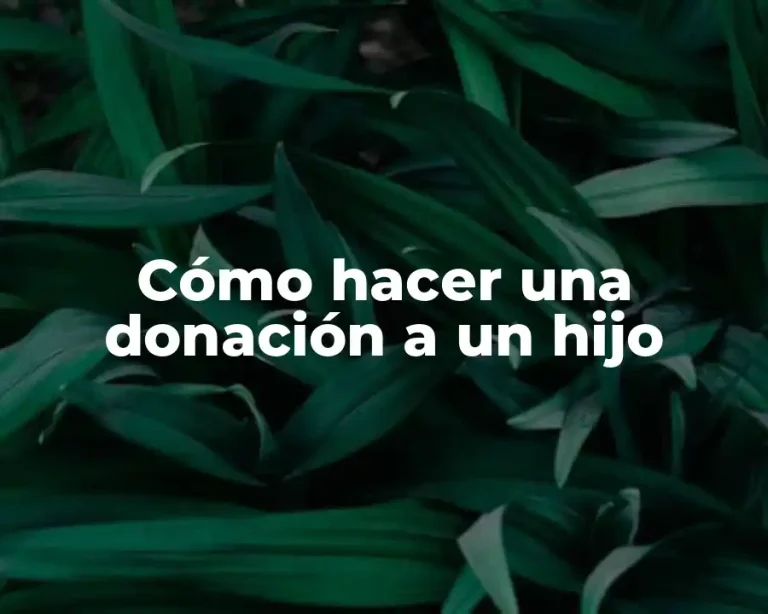 Cómo hacer una donación a un hijo