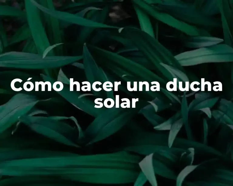 Cómo hacer una ducha solar