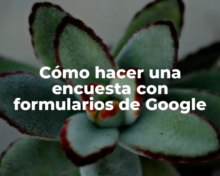 Cómo hacer una encuesta con formularios de Google
