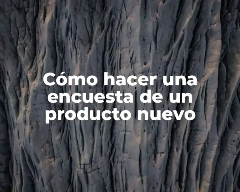 Cómo hacer una encuesta de un producto nuevo