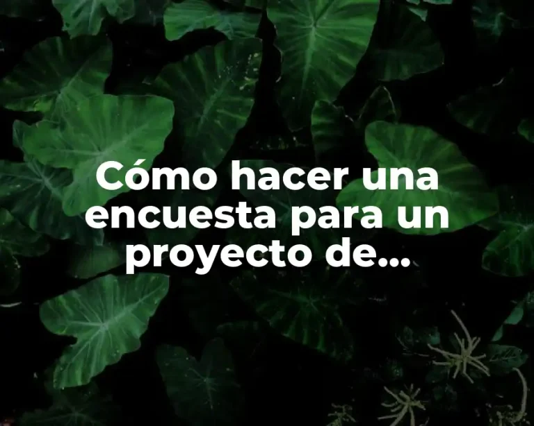 Cómo hacer una encuesta para un proyecto de investigación