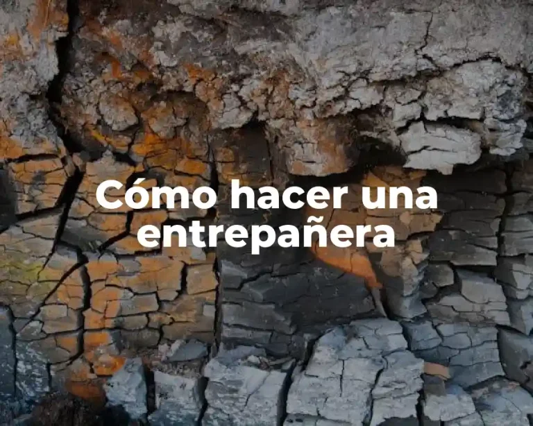 Cómo hacer una entrepañera