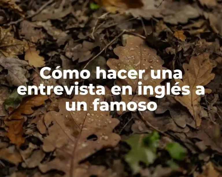 Cómo hacer una entrevista en inglés a un famoso