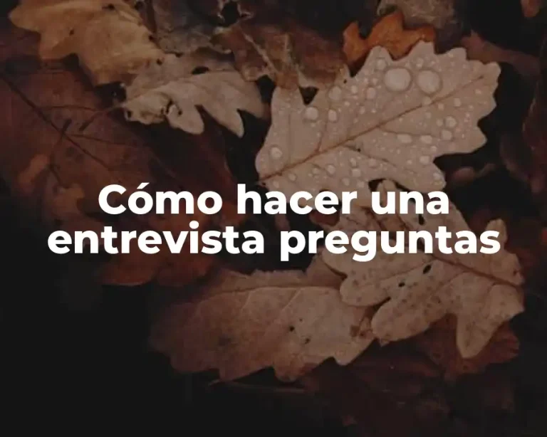 Cómo hacer una entrevista preguntas