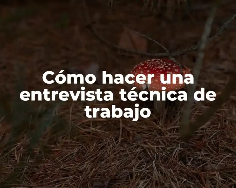 Cómo hacer una entrevista técnica de trabajo