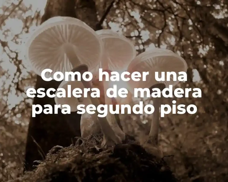Como hacer una escalera de madera para segundo piso