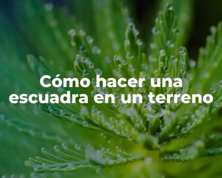 Cómo hacer una escuadra en un terreno