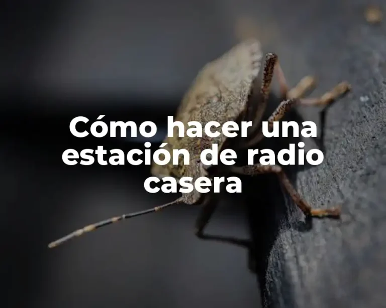 Cómo hacer una estación de radio casera