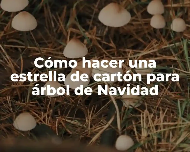 Cómo hacer una estrella de cartón para árbol de Navidad
