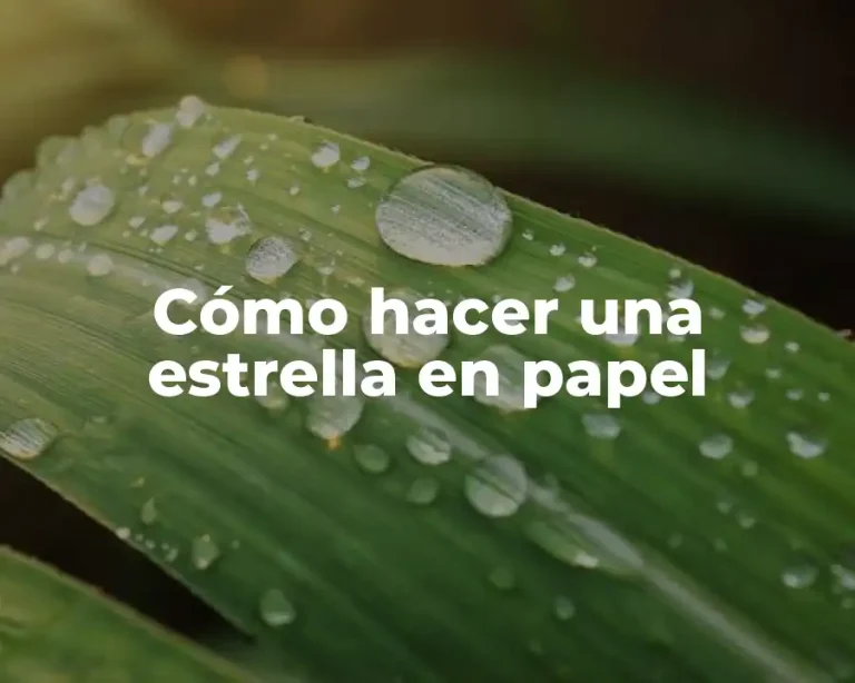 Cómo hacer una estrella en papel
