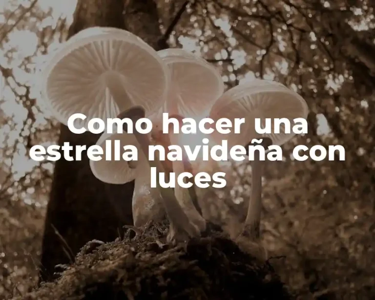 Como hacer una estrella navideña con luces