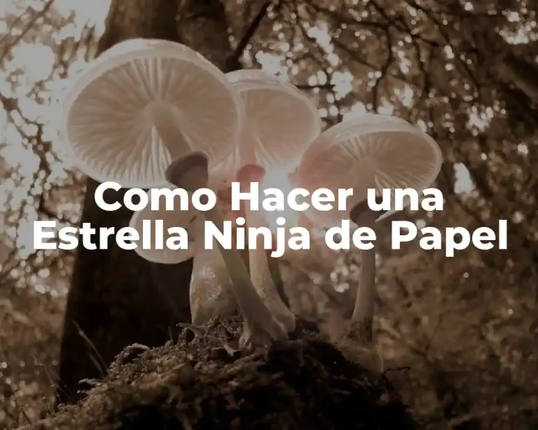 Como Hacer una Estrella Ninja de Papel