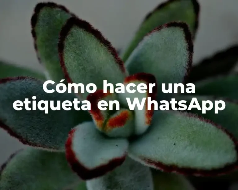 Cómo hacer una etiqueta en WhatsApp