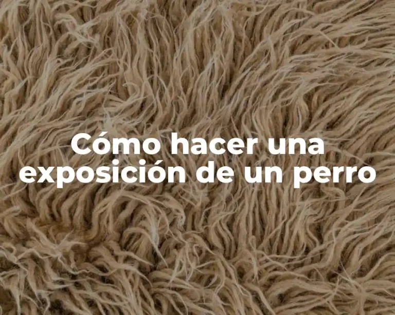 Cómo hacer una exposición de un perro