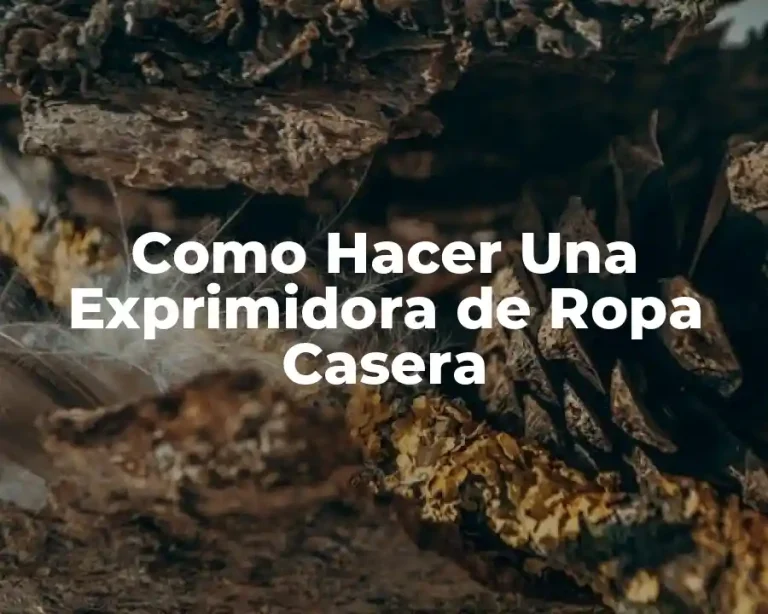 Como Hacer Una Exprimidora de Ropa Casera