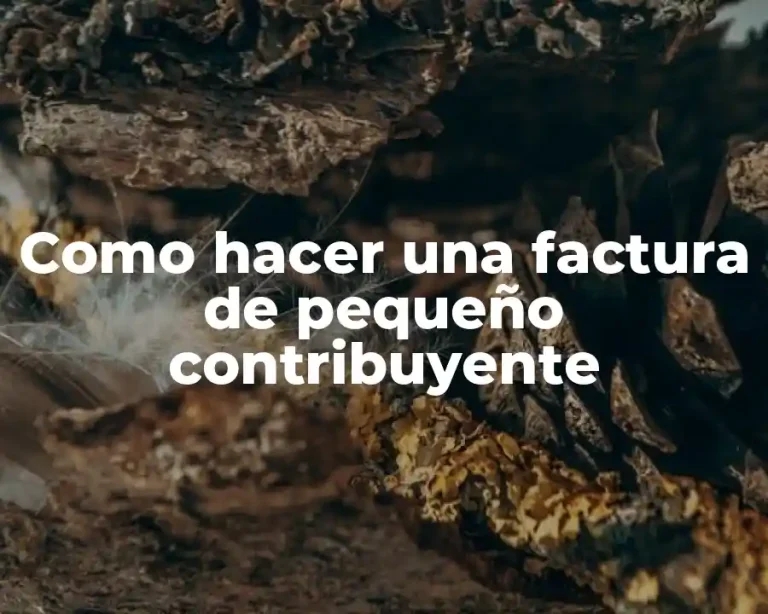 Como hacer una factura de pequeño contribuyente