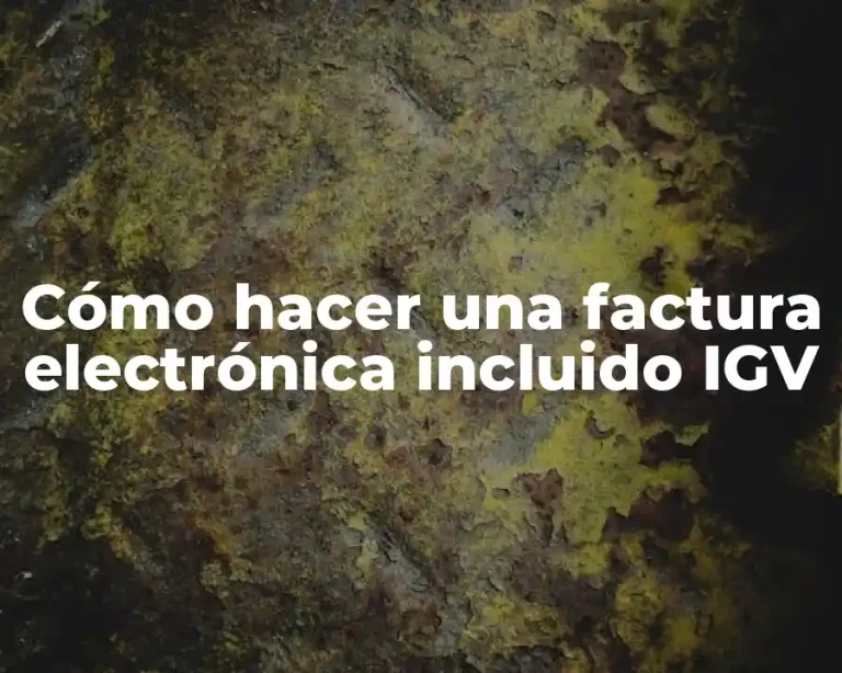 Cómo hacer una factura electrónica incluido IGV