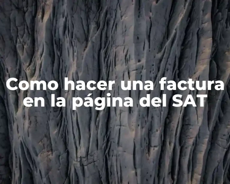 Como hacer una factura en la página del SAT