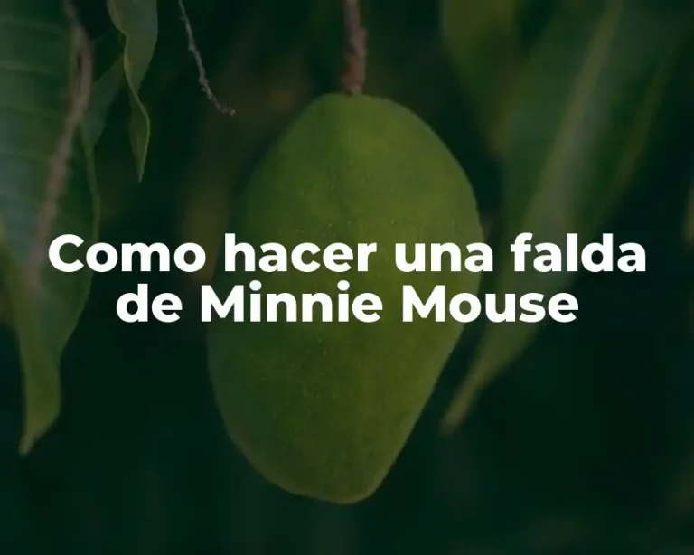 Como hacer una falda de Minnie Mouse