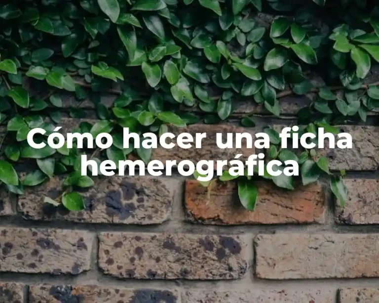 Cómo hacer una ficha hemerográfica
