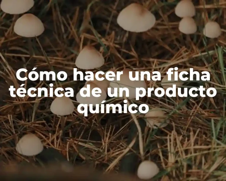 Cómo hacer una ficha técnica de un producto químico