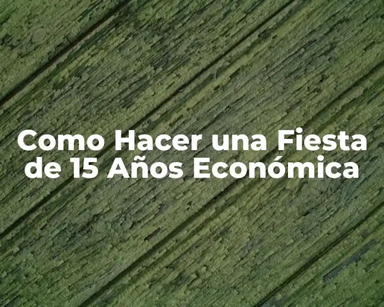 Como Hacer una Fiesta de 15 Años Económica