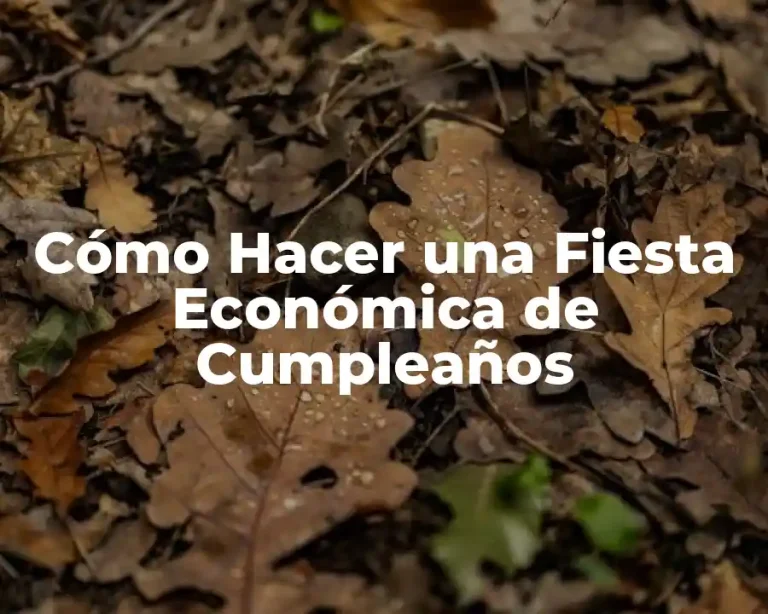 Cómo Hacer una Fiesta Económica de Cumpleaños