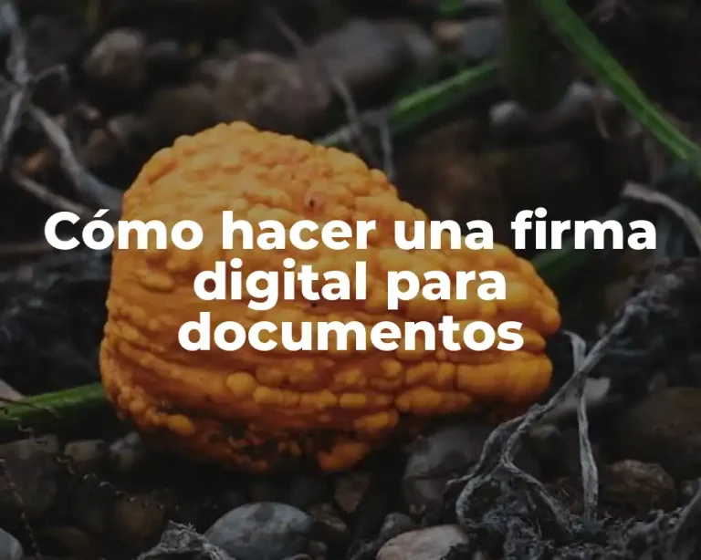 Cómo hacer una firma digital para documentos