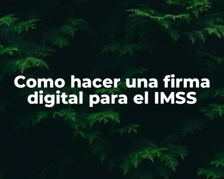 Como hacer una firma digital para el IMSS