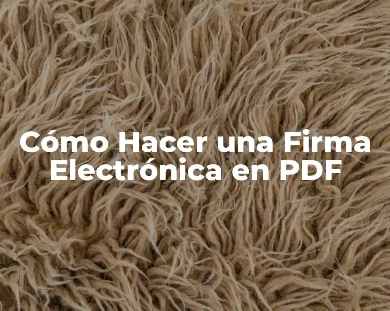 Cómo Hacer una Firma Electrónica en PDF