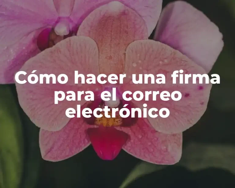Cómo hacer una firma para el correo electrónico