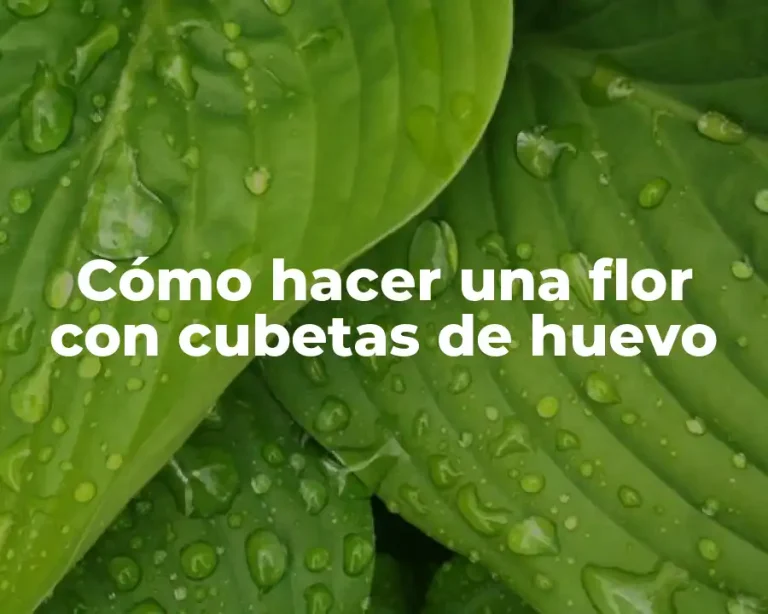 Cómo hacer una flor con cubetas de huevo