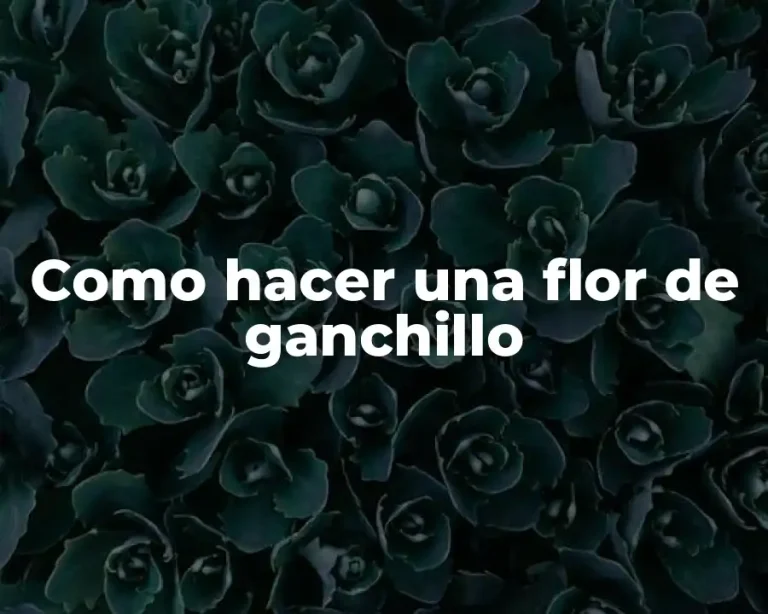 Como hacer una flor de ganchillo