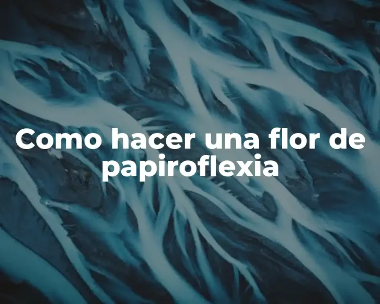 Como hacer una flor de papiroflexia