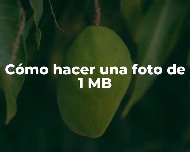 Cómo hacer una foto de 1 MB