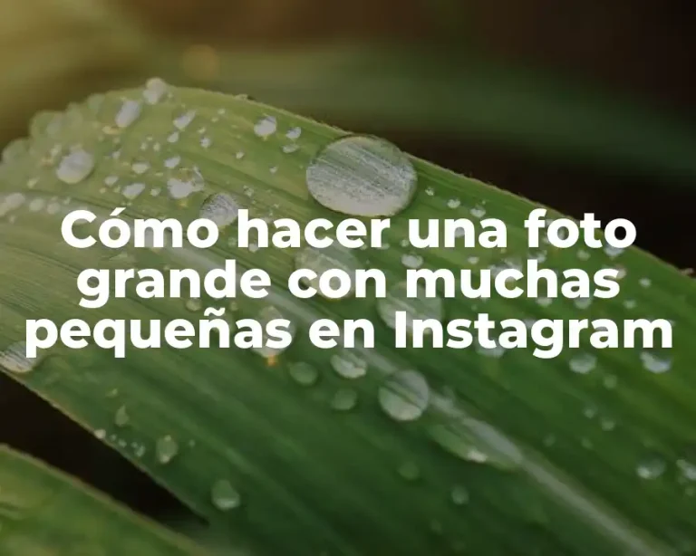 Cómo hacer una foto grande con muchas pequeñas en Instagram