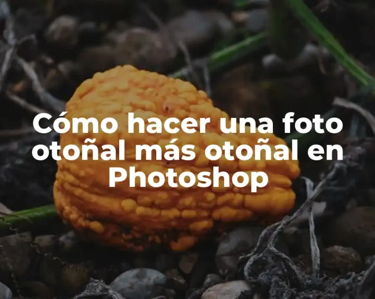 Cómo hacer una foto otoñal más otoñal en Photoshop