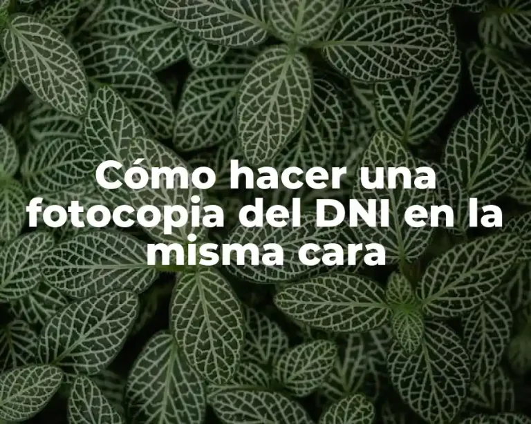 Cómo hacer una fotocopia del DNI en la misma cara