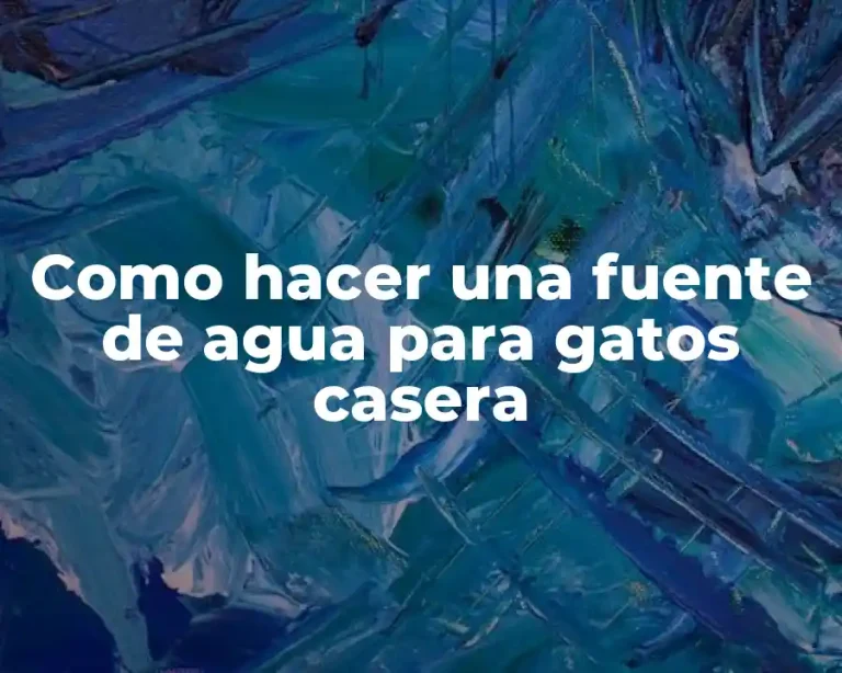 Como hacer una fuente de agua para gatos casera