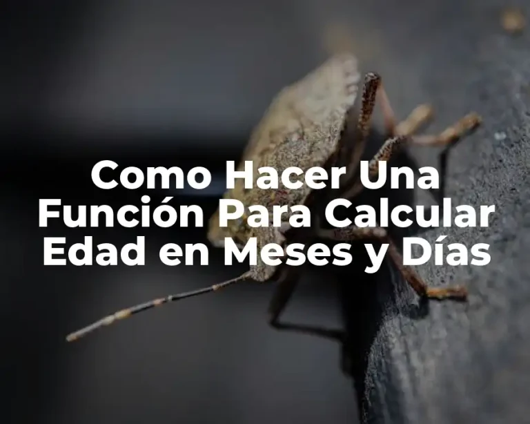 Como Hacer Una Función Para Calcular Edad en Meses y Días