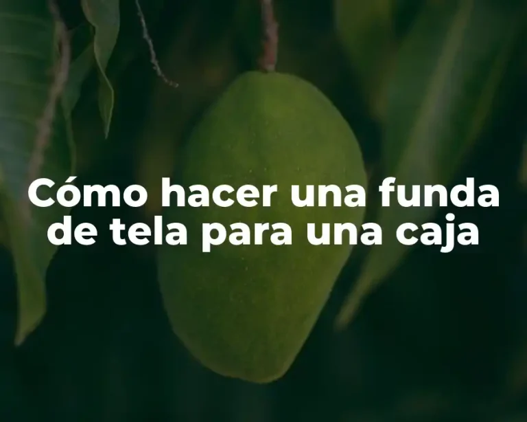 Cómo hacer una funda de tela para una caja