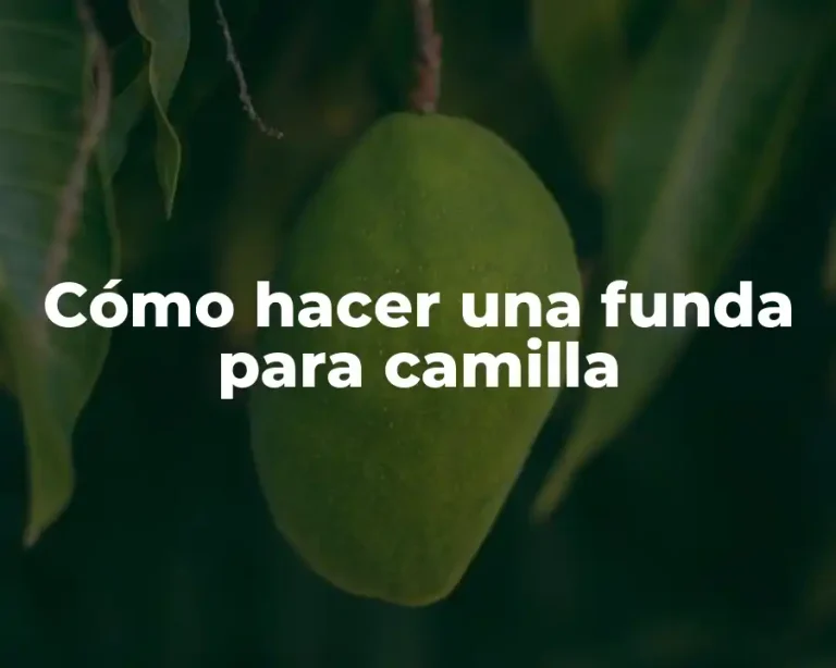 Cómo hacer una funda para camilla