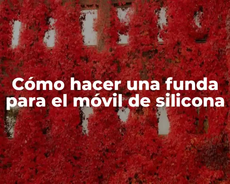 Cómo hacer una funda para el móvil de silicona