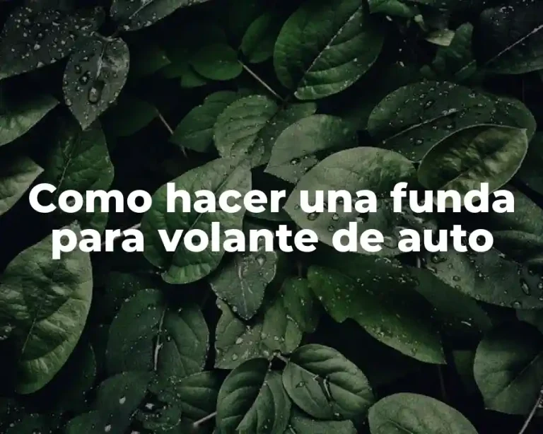 Como hacer una funda para volante de auto