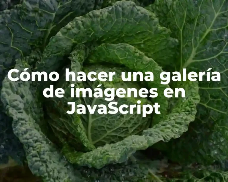 Cómo hacer una galería de imágenes en JavaScript