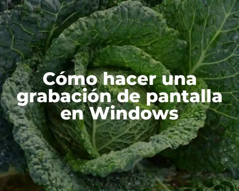 Cómo hacer una grabación de pantalla en Windows
